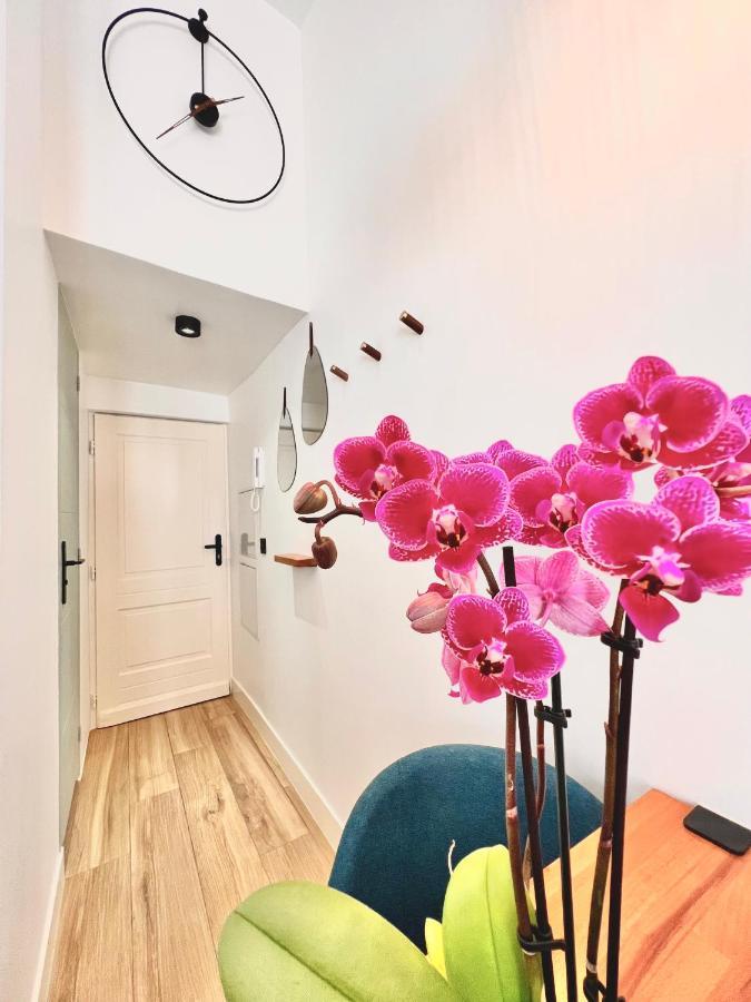Duplex Le Gesu - Heart Of Old Town - Modern - Wifi - Clim Apartment Ница Екстериор снимка